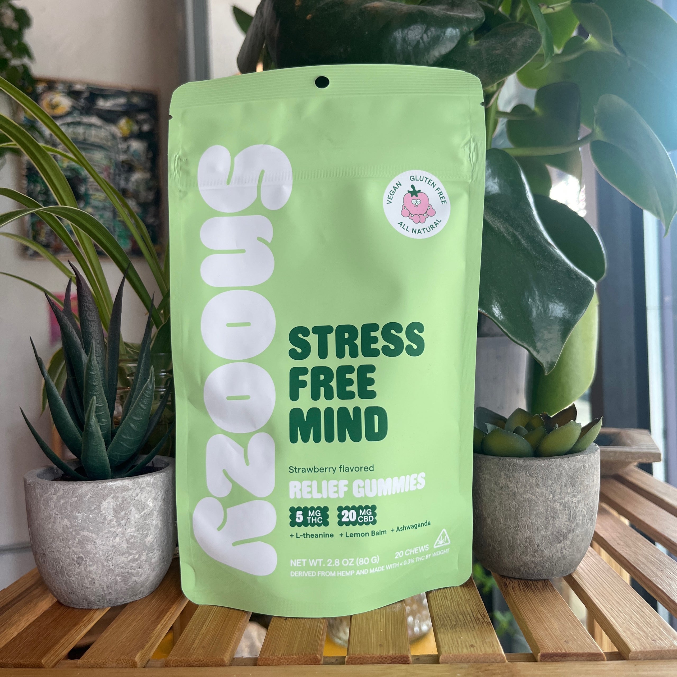 Snoozy Stress Free Mind